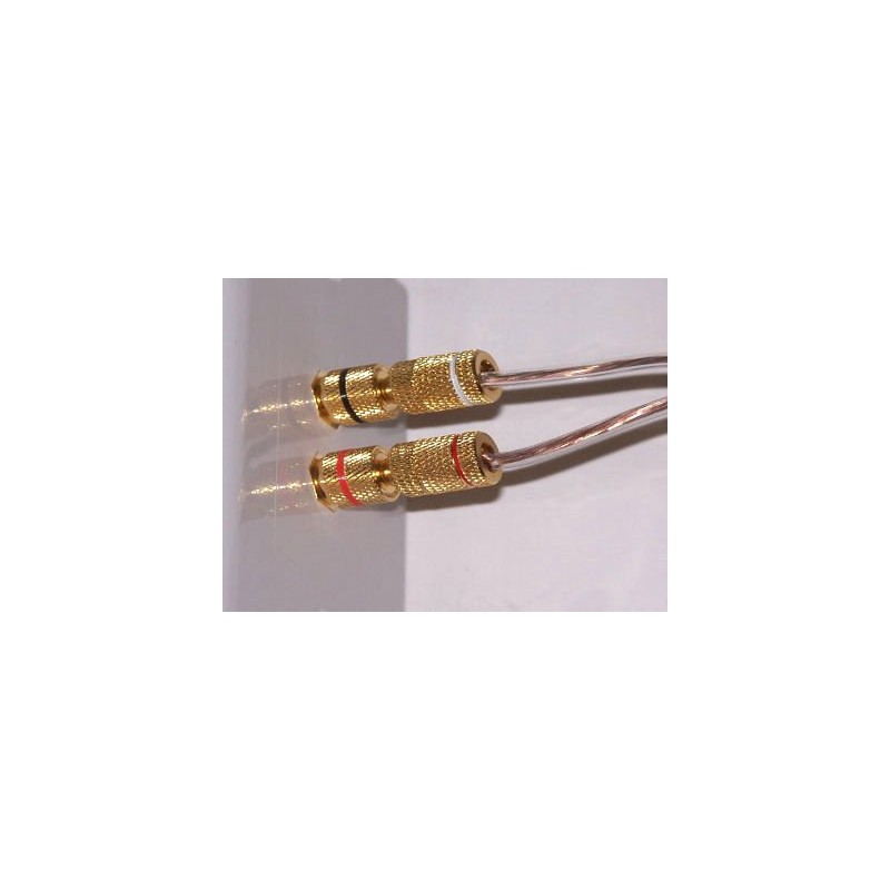 2-Pack Speaker Wire Wall Plate (Speaker Wall Plate, Banana Plug