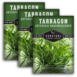 Survival Garden Seeds - Russian Tarragon Seed for Planting - 3 Packs with Instructions to Plant & Grow Big Flowering Herbs in Your Home Vegetable Garden - Non-GMO Heirloom Variety Herb Seed Planting