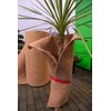 MC.Sammler Coconut Mat Winter Protection Cold Protection for Plants Sold