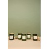 Paddywax Eco Collection Scented Soy Wax Candle in Glass Jar,