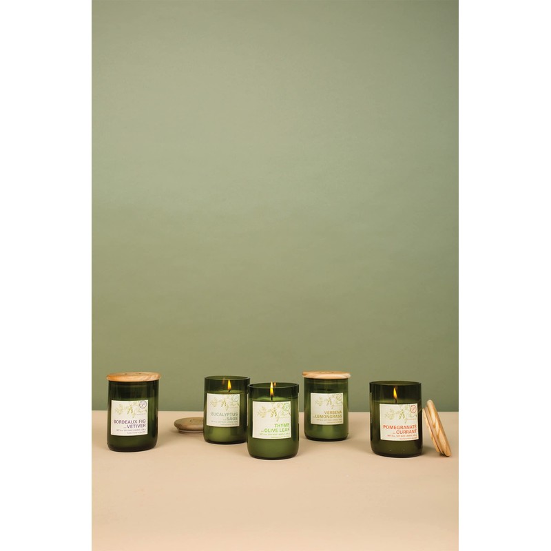 Paddywax Eco Collection Scented Soy Wax Candle in Glass Jar,