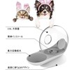 Angelpet Water Founder, Automatic Water Supply, 0.9 gal (2.8 L),