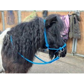 Rope headcollar with Reins for use of Bitless Horse Riding Full to Mini Shet 5 Colours (Sky, Cob)
