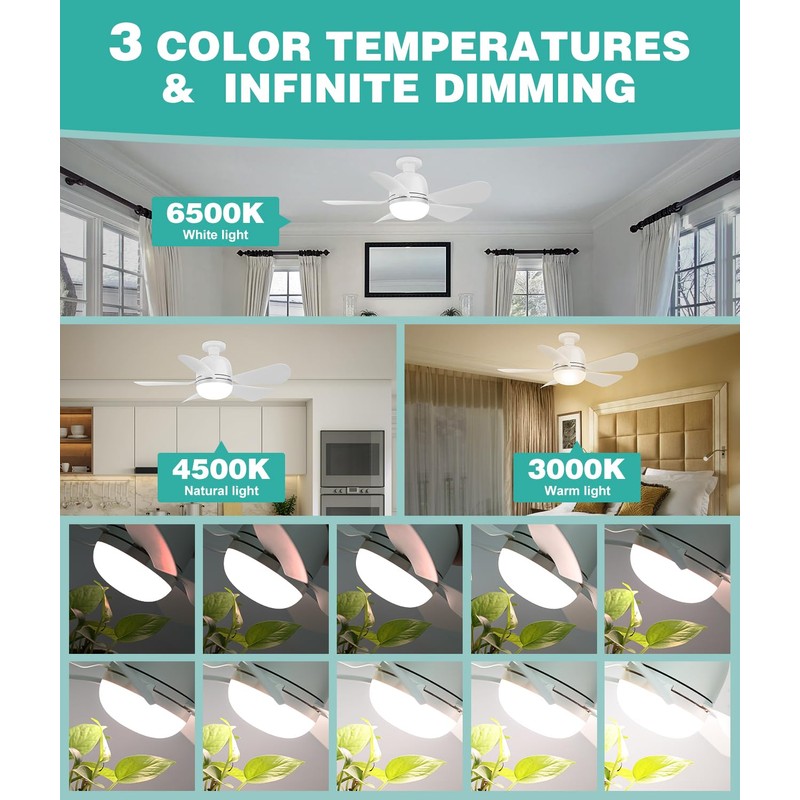 HK Ceiling Fan with Light and Remote,20 Inch, 5 Speeds