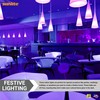 Sunlite 01096 Incandescent A19 Black Light Bulb, 75 Watts, E26