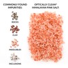 Artisan Salt Company Ancient Ocean Himalayan Pink Salt, Fine, Zip-Top