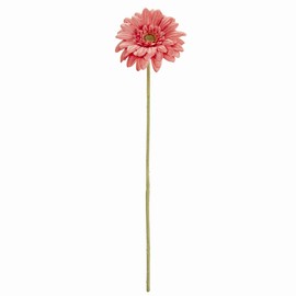 Tokyodo FM002832-052 Artificial Flowers MAGIQ Soleiyu Gerbera Bundle, Hot Pink, Flower Diameter 2.8 x L10.6 inches (7 x 27 cm), Pack of 3