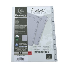 Exacompta - Ref 1812E - PP Printed Indices - For Use With A4 Documents, 0.1mm Polypropylene, Pre-Punched, Soft & Tear Resistant - 12 Divider Parts (Janvier - Decembre) - Grey