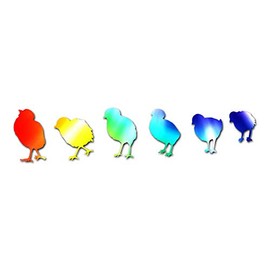 Chicks Poultry Chicken - Vinyl Decal Sticker - 9" x 2" - Tie Dye