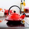 Le Creuset Enamel On Steel Zen Tea Kettle, 1.6 qt.,