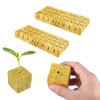 Molyorch Rockwool Cube 3 cm x 3 cm x 4