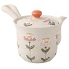 Hasami Ware Issei Pottery Light Teapot (Super Mesh Tea Strainer)