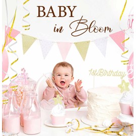 AVXINSOK Brown Baby in Bloom Sign for Backdrop Baby Shower Decal Sign for Pregnancy Announcement Boy or Girl Gender Reveal Backdrop Decor