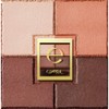 excel Skinny Rich Eye Shadow SR11 (Brick Brown) Palette Eye