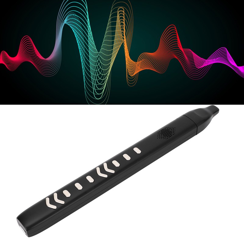 Electric Blowpipe 10 Timbre Mini Portable Rechargeable Detachable Digital Wind