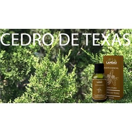 ACEITE ESENCIAL CEDRO DE TEXAS 30ML.