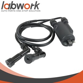 labwork Ignition Coil and Spark Plug and Spark Plug Cap 30500-422-003 Replacement for Honda Goldwing 1100 CB650 CB750 CB900 V45 V65 VF700S