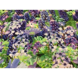Timeless Treasures Fabric Lupines & Purple Flowers 2434, sold by the yard