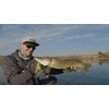 Rapala - Rap -v Piked Bladed Jig Plumb Fishing Bait