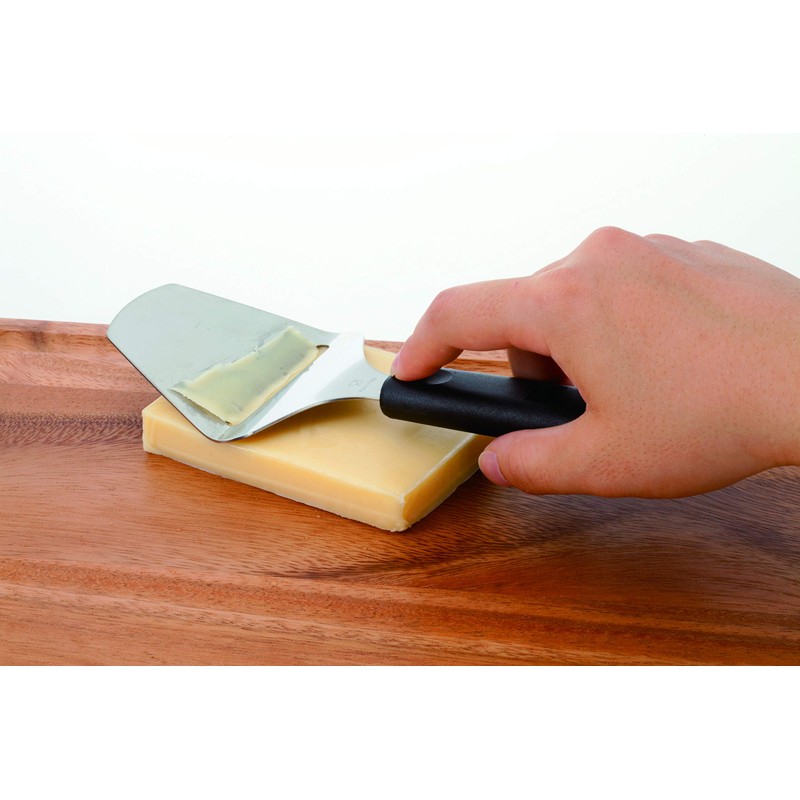 Endoshoji TKG BKTL901 Cheese Slicer, Total Length 8.3 inches (210