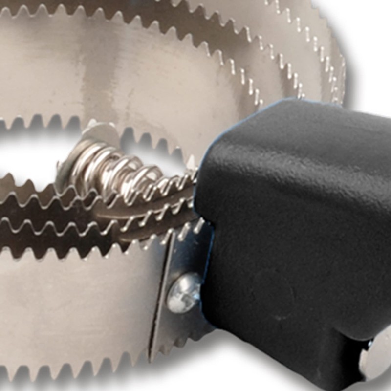 Federstriegel, schwarz