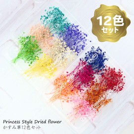 Mini Baby's-Breath Dried Flowers