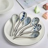 Ceramic Soup Spoons Set of 6 Asian Soup Spoon Ceramic