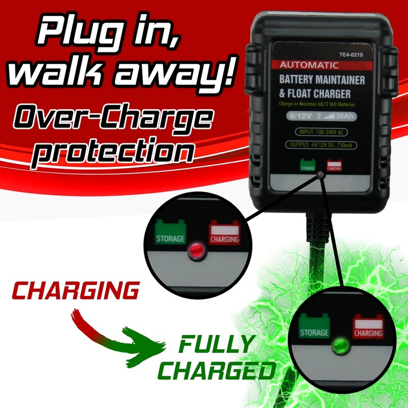 Banshee TE4-0219 12V 6V 750mA Automatic Battery Charger, Battery Maintainer,