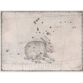 Historic Map : Constellation: Lepus, The Rabbit, 1655 Celestial Atlas - Vintage Wall Art - 30in x 24in