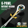 SK 1/4" Drive Ratchet Handle, 216-Position 6 Pawl Ratchet, with