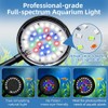 DaToo 6W Aquarium LED Light for 1-5 Gallon Betta Fish