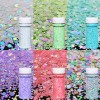 12 Pcs Spring Colors Hex Chunky Glitter Set 2oz Bottles