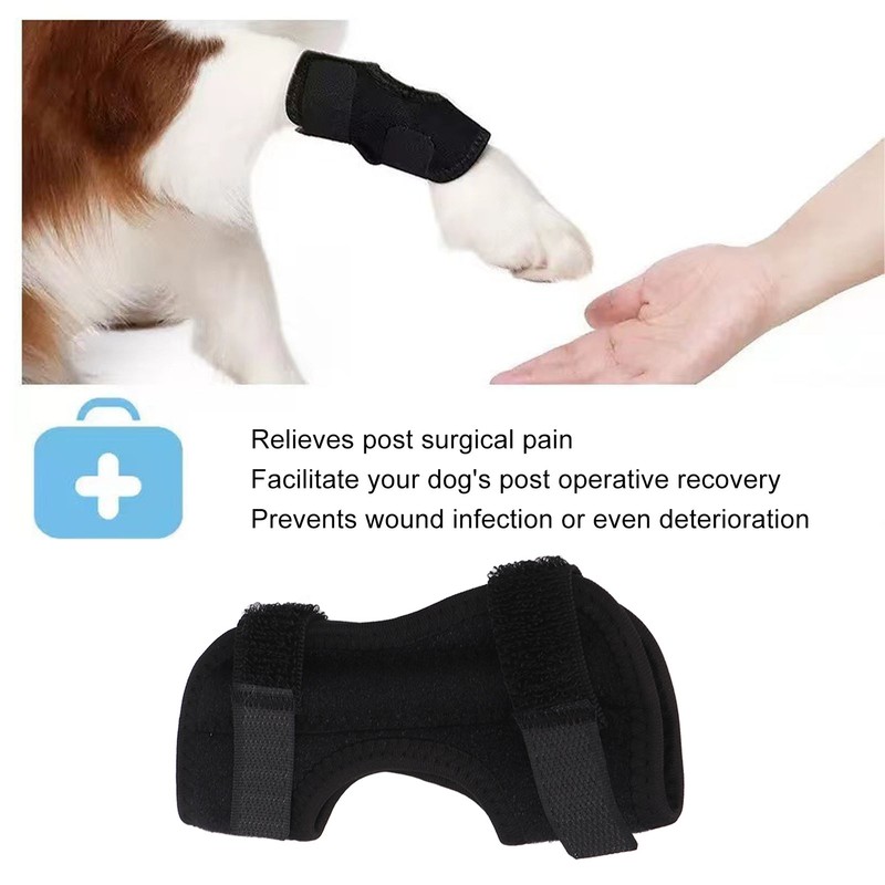 Dog Rear Leg Brace Prevent Licking Fixing Strap Spring Support