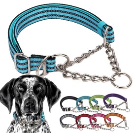 Teal Martingale Collar for Medium Dogs, Reflective Nylon Dog Chain Collar Escape Proof No Pull Dog Collar with Stainless Steel Chain for Small Medium Large Dogs