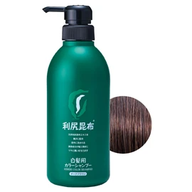 Sastty Color Shampoo for Gray Hair 16.9 fl oz (500 ml) (Dark Brown)