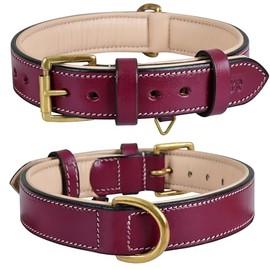 Collar de perro de piel auténtica, grano completo, resistente, cómodo, fuerte, mejor para cachorros, razas pequeñas, medianas y grandes, (tamaño mediano (tamaño de cuello de 14.5 a 18.5 pulgadas), rosa)