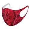 Smakore 000124 Design Mask, Set of 2, Polyester, Washable, Cloth