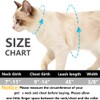 Freezx Cat Harness and Leash Set - Adjustable Escape Proof