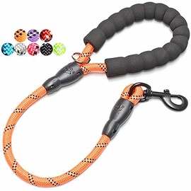 BAAPET 60/120/150/180 CM Fuerte Perro Correa con Cómodo Mango Acolacol e Altamente Reflecpara Hilos para Pequeños Medianos y Grandes Perros (60 CM-1.2 CM, Naranja)