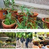 Flantor Drip Irrigation Kit, Drip Irrigation System for Garden with