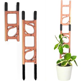Treleaf Stella Extendable Ladder Trellis - Wooden Plant Trellis for Indoor Climbing Plants, Modular Plant Support Stake with 12” Base + 8” Extension - Perfect for Ivy, Hoya, Houseplants
