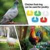 20Pcs Chicken Leg Rings Reusable Chicken Identification Leg Bands Multicoloured