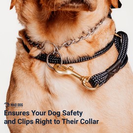 1/4" x 6' Teal Solid Braid English Slip Leash/Safety Strap Combo Leash - Made in USA