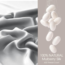 WLOSJ 100% Silk Pillow Cases 2 Pack Queen Size Mulberry Silk Pillowcase for Hair and Skin Set of 2 Highest Grade 6A Silk Soft Breathable Cooling with Hidden Zipper, Light Grey