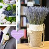 CoolCrafts Dried Lavender Bundles Lavender Bunches Dry Lavender Flowers for