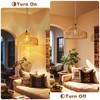 Hanging Lamps Rattan Pendant Light Hanging Lights 16.4ft Plug in