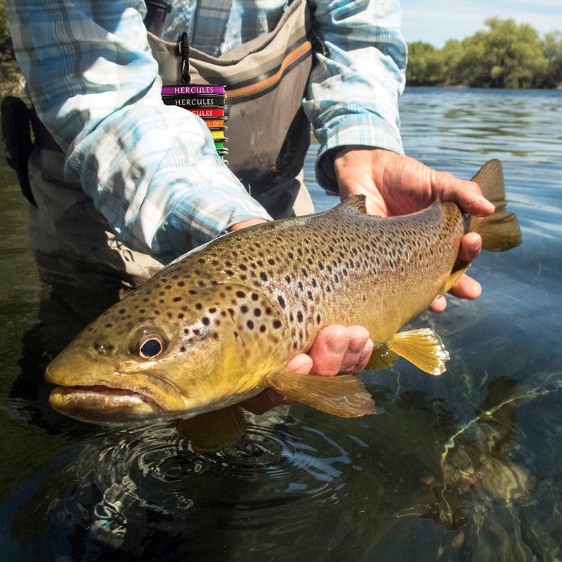 HERCULES Fly Fishing Line Floating Weight Forward Fly Line with