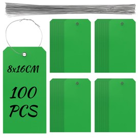 Keadic Plastic Shipping Tags with Wire, 100 Pieces Hang Tags with Wires, Plastic Shipping Tags, Waterproof Hang Tags with String, Empty Labeling Tag for Inventory, Luggage, Green, 6 1/4 Inch x 3 1/8