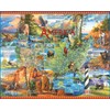 White Mountain Puzzles National Parks - 1000 Piece Jigsaw Puzzle