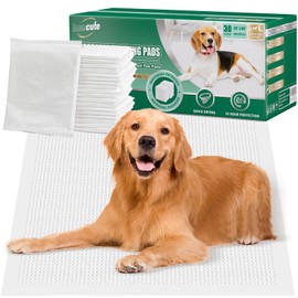 IMMCUTE Dog Pee Pads Extra Large 23"X36", 30Count, XL Puppy Pads Super Absorbent & Leak-Proof, Disposable Potty Training Pads, 6-Layer with Quick-Dry for Puppies | Doggie| Cats | Rabbits